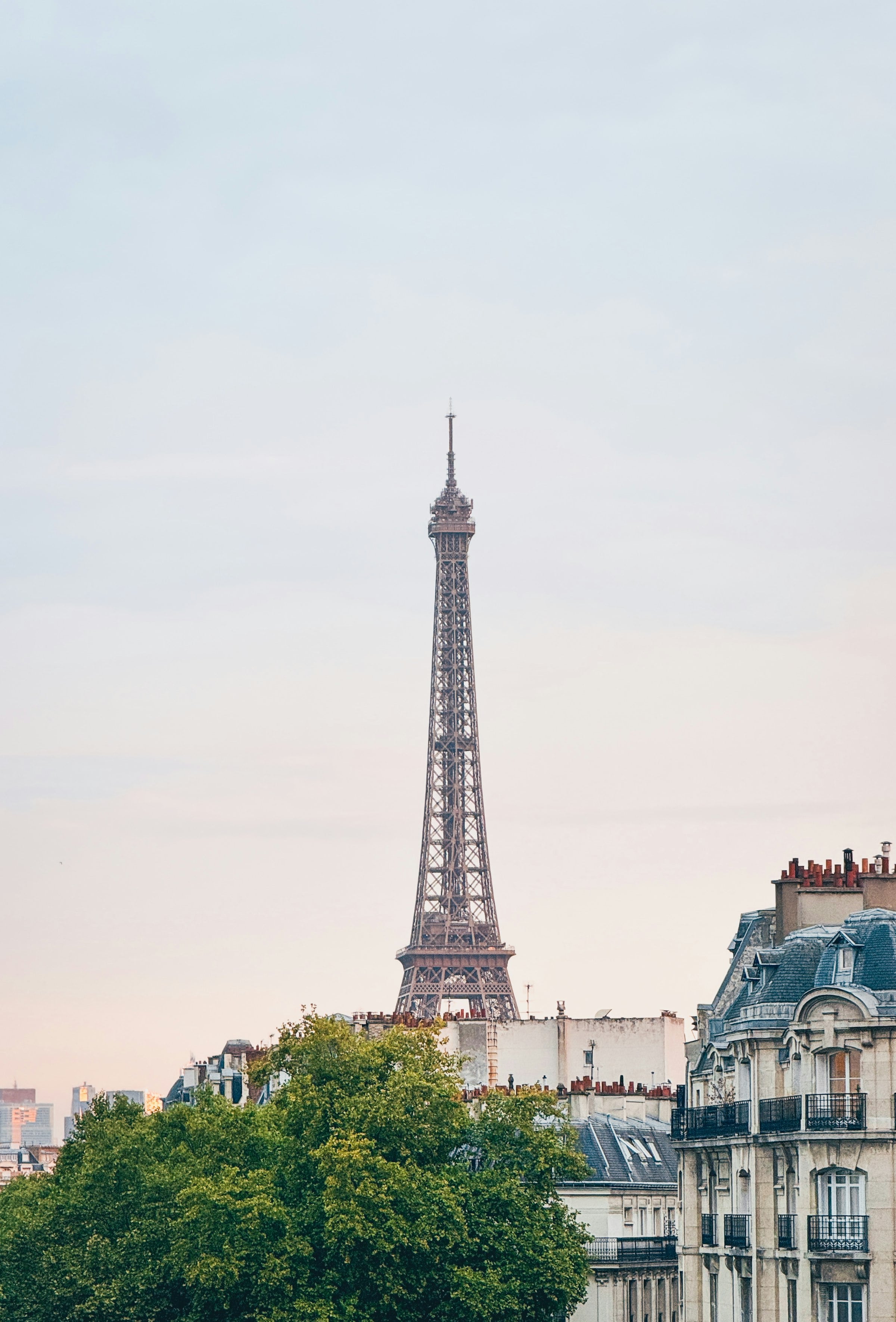 La tour Eiffel au-dessus des toits de Paris
