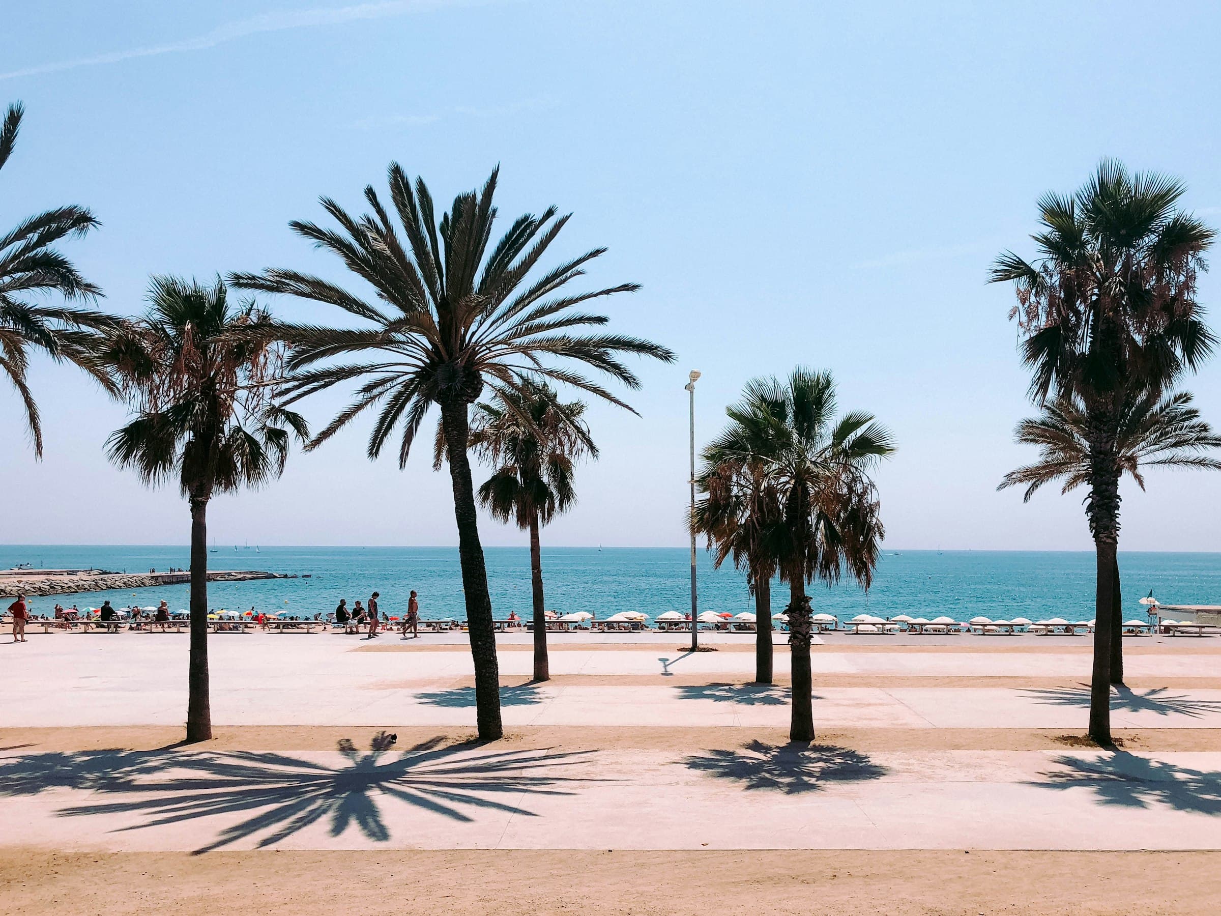 La promenade plane et ensoleillée de la Barceloneta, bordée de palmiers